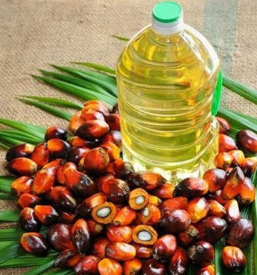   Palm Cooking-Oil