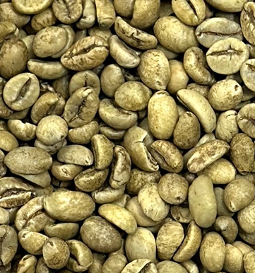  Robusta-Coffee