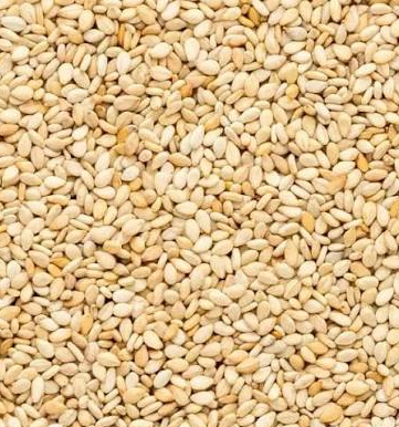  Sesame-Seeds